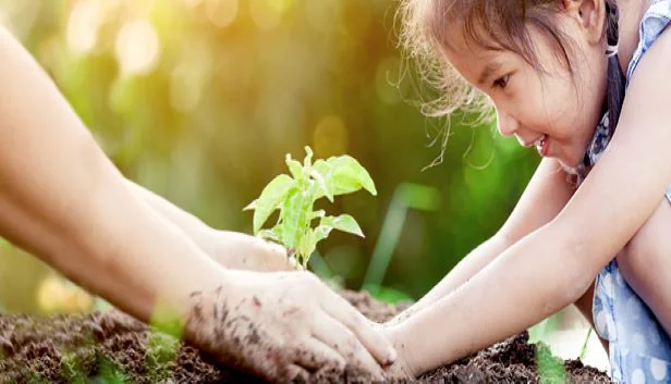 Cultivating sustainability, planting a sprout